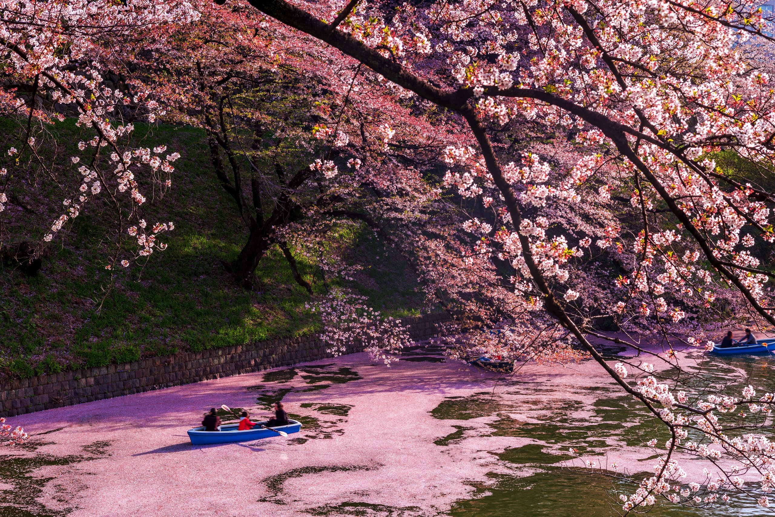 Japan