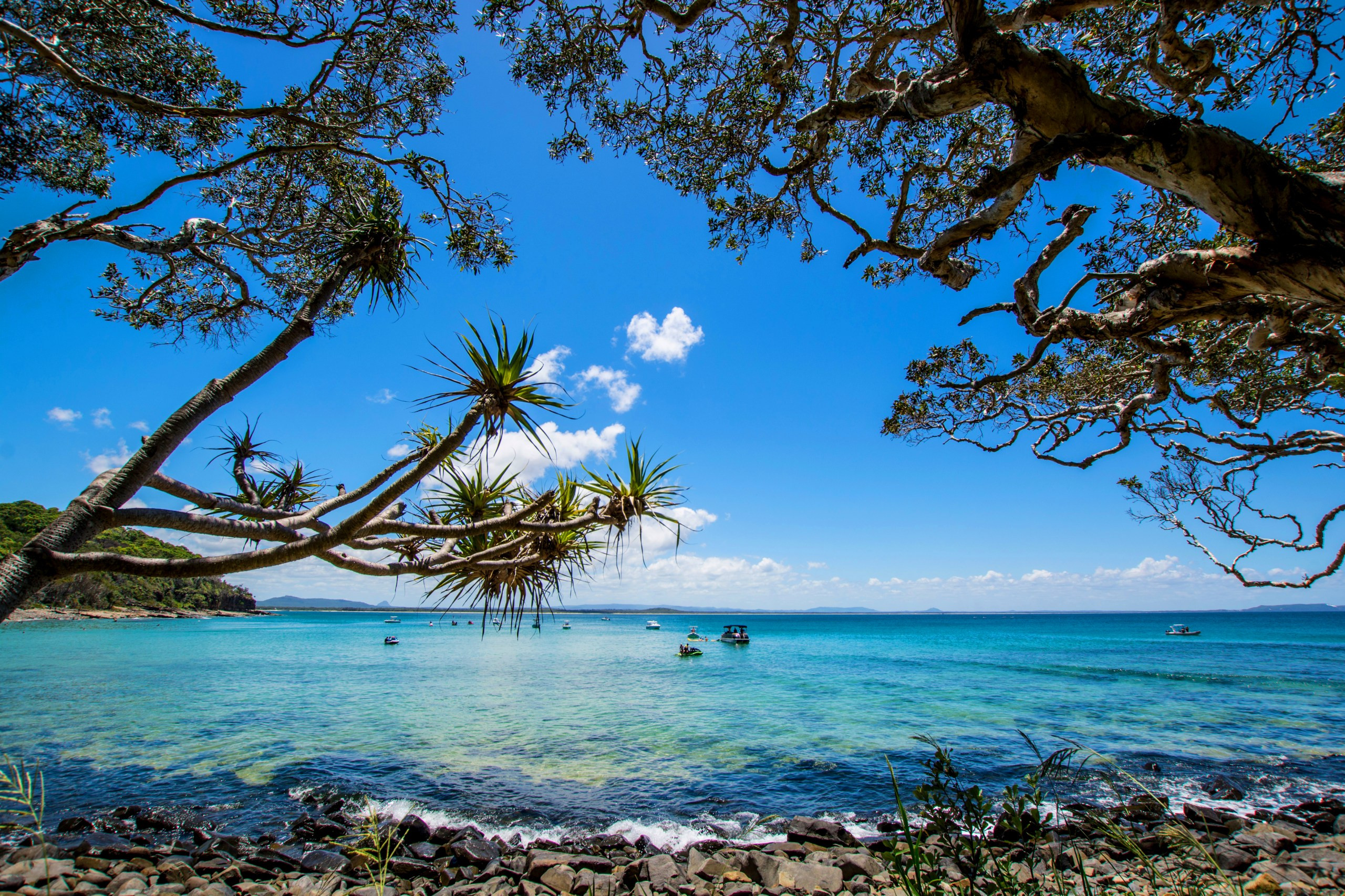 Noosa Heads, Australia, featuring a coastal town with a beautiful beach and lush vegetation