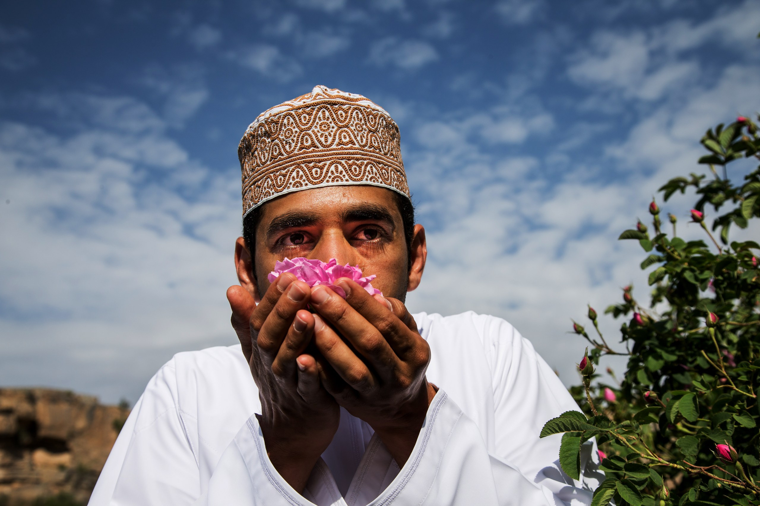 The damask rose petals of Jabal Akhdar in Oman, one of the best places to go on holiday in March