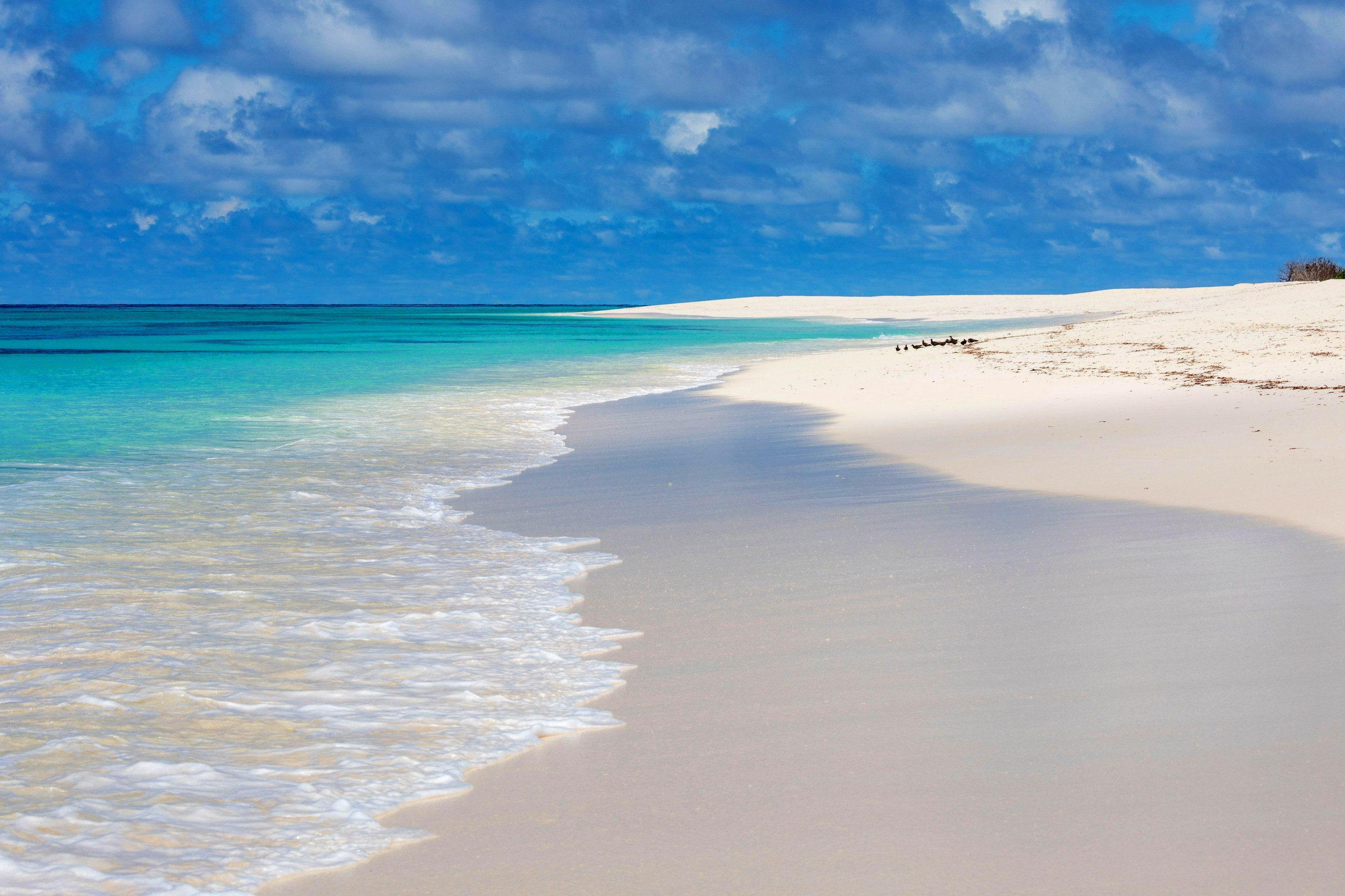 Bird Island in the Seychelles, featuring clear blue waters and lush vegetation