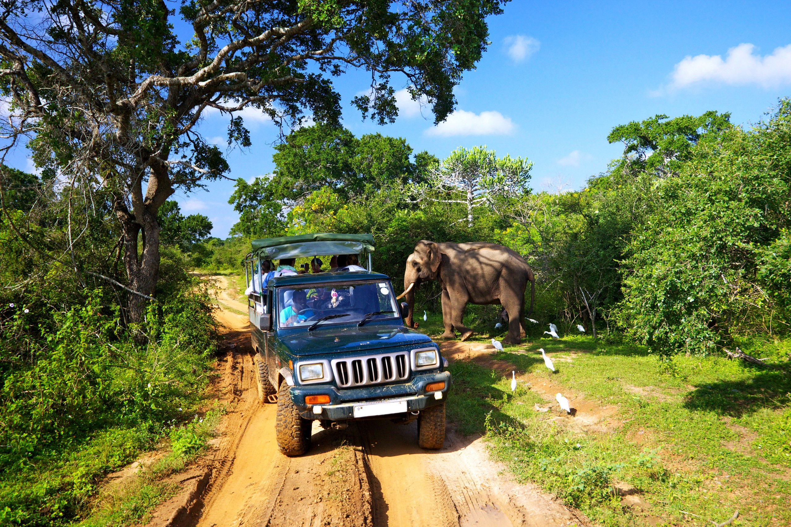 On safari in Yala National Park, Sri Lanka, one of the best places to go on holiday in March