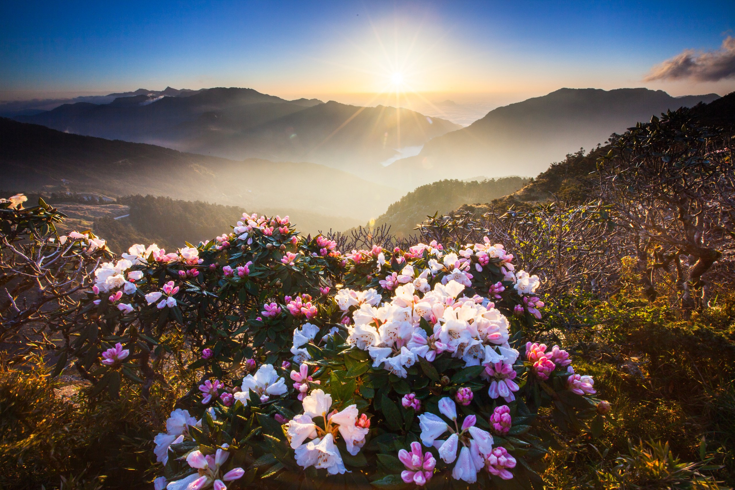 Taipei in Taiwan is one of the best places to visit in March