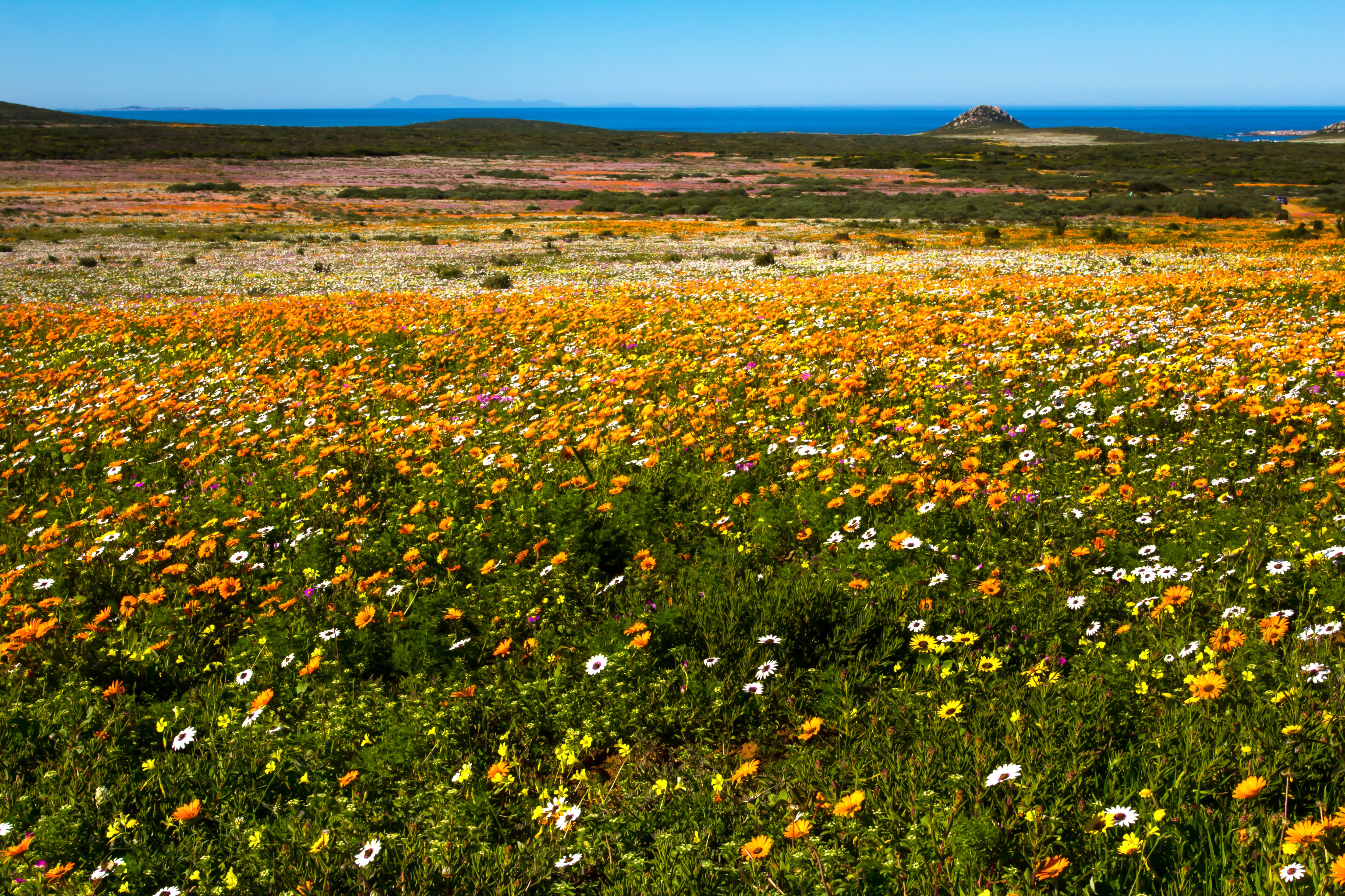 The West Coast National Park