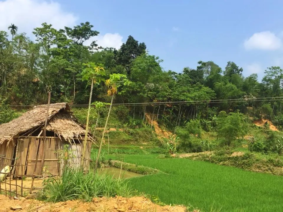 Local countryside scenes