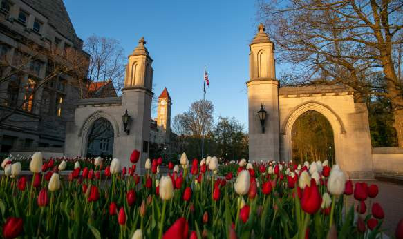 sample gates spring