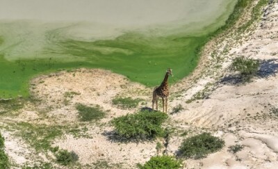 Drone Tourism Nature