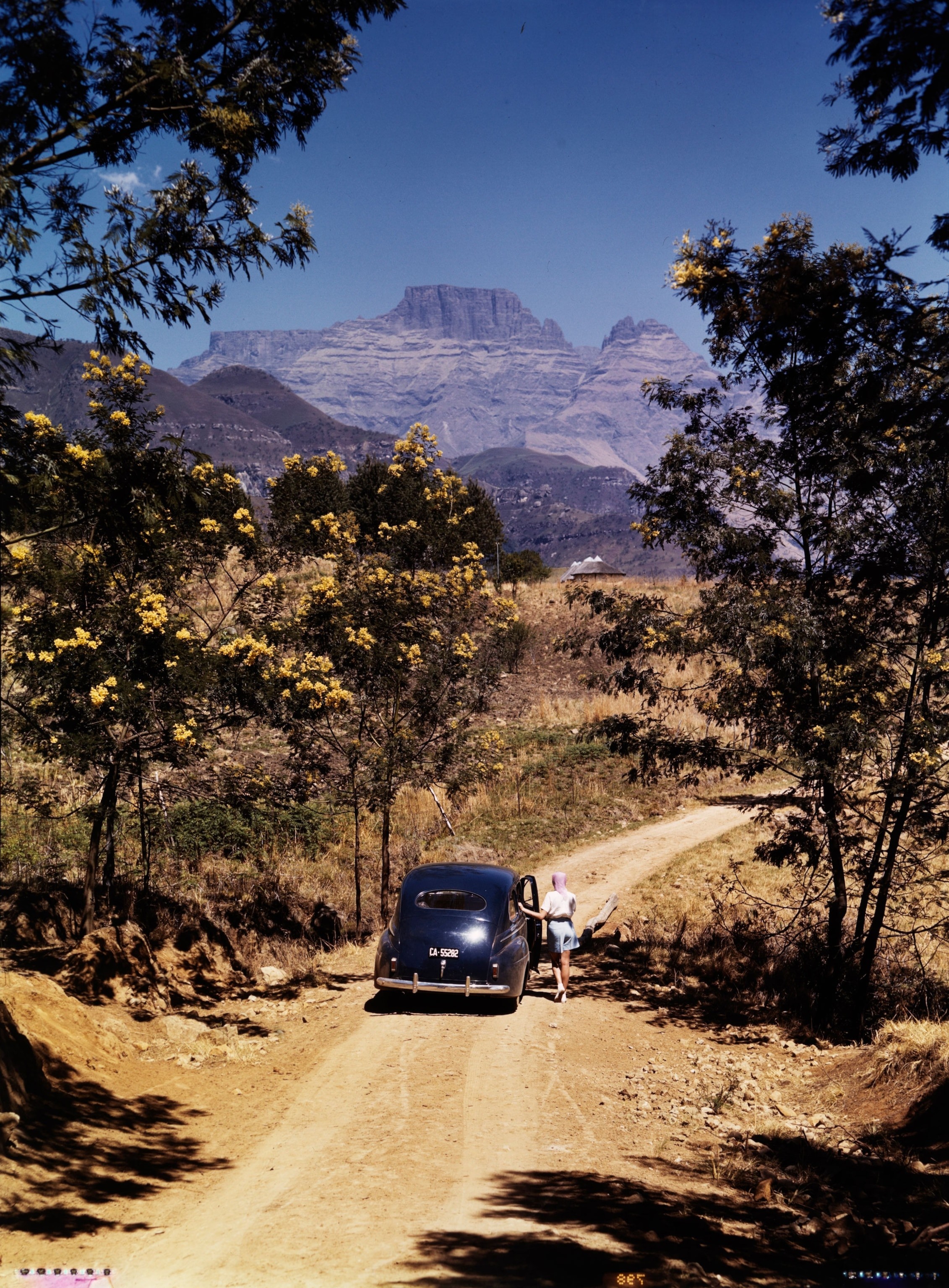 A woman driving through the scenic roads of South Africa