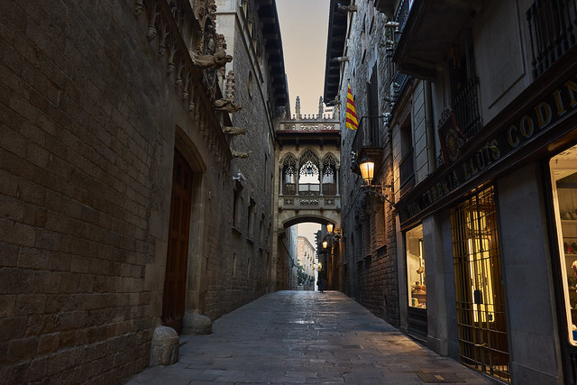 A dimly lit alleyway in Barcelona's Gothic Quarter, suggesting a hidden or secretive environment