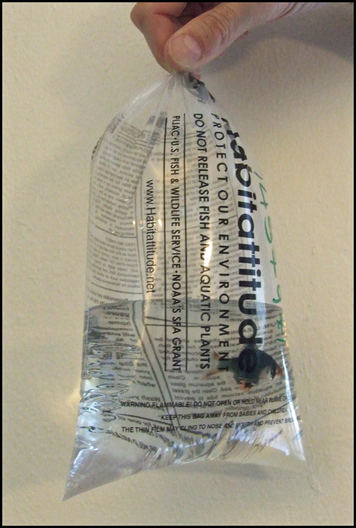 traveling with fish in a clear plastic bag