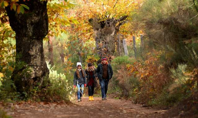 Sierra de Aracena: Explore Huelva's lush forests and diverse wildlife