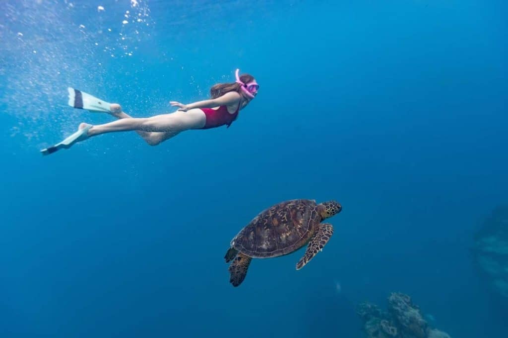 Divers exploring coral reef in Cook Islands. The crystal clear water allows for excellent visibility.