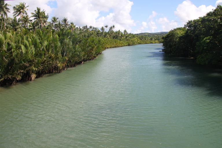 Panay Island, Antique Province. Antique is known as a haven for flora and fauna