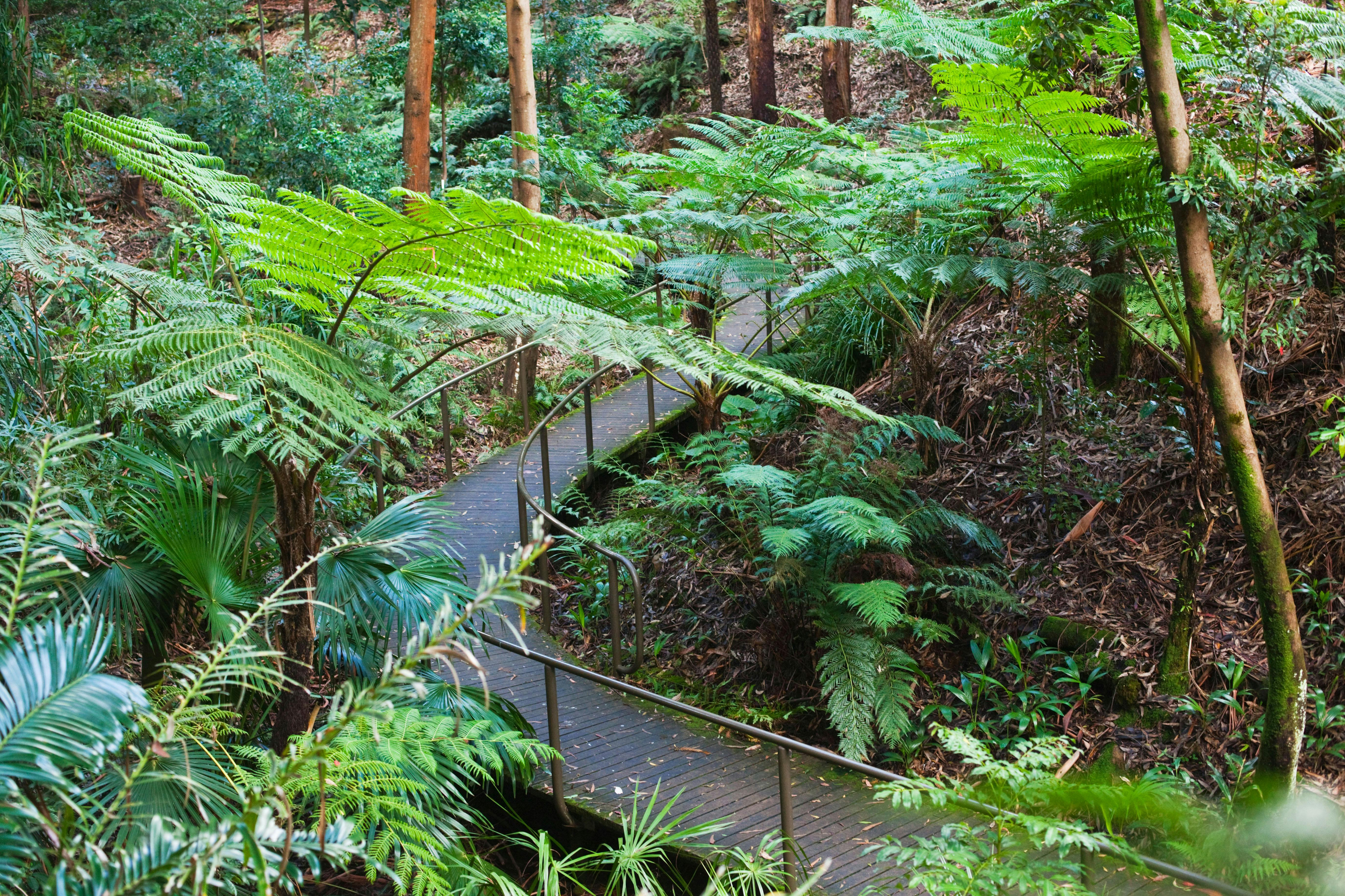 Australian National Botanic Gardens