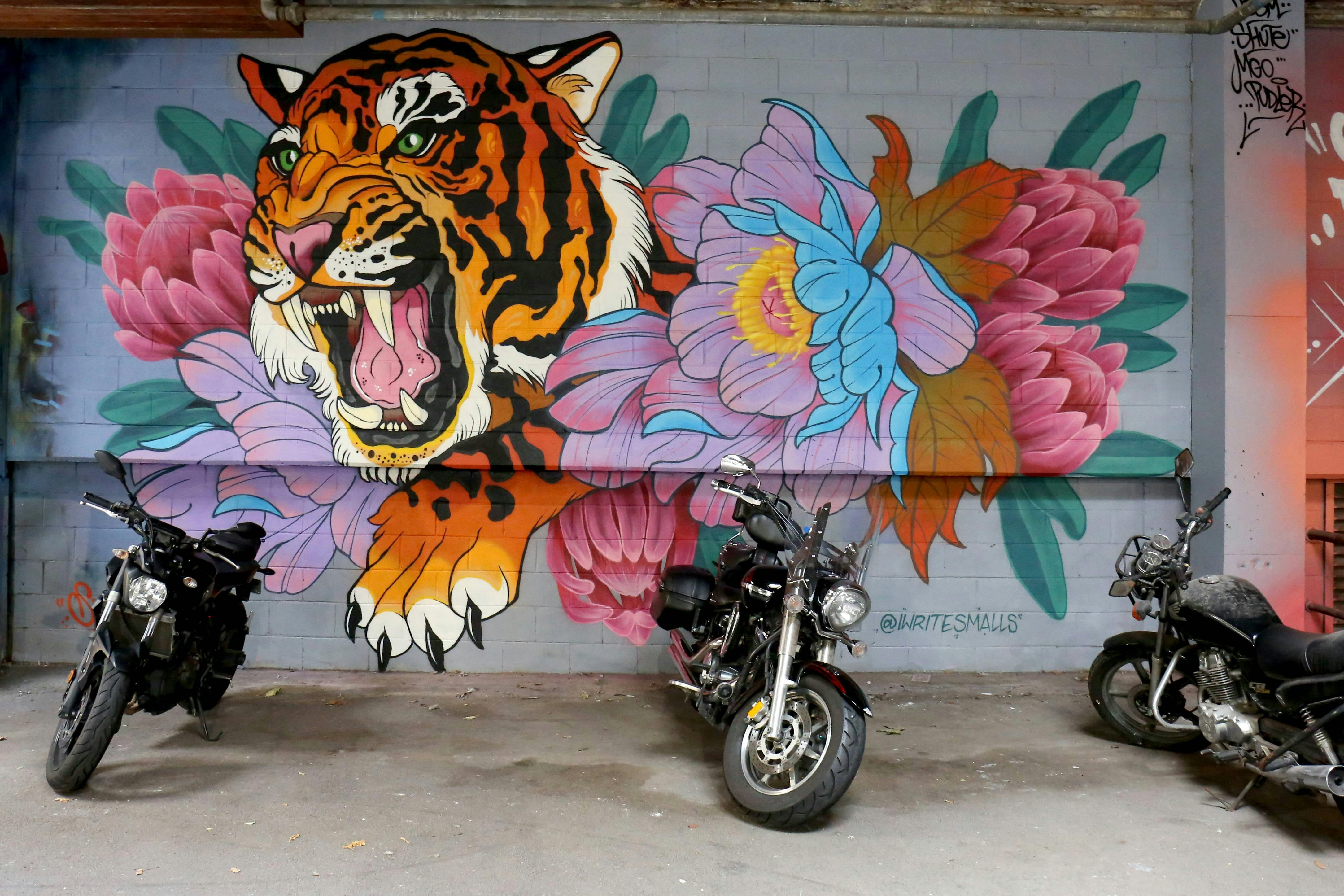 Street art scene in Canberra