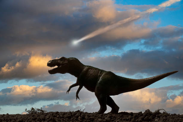 An artist's depiction of the asteroid impact that led to the extinction of the dinosaurs