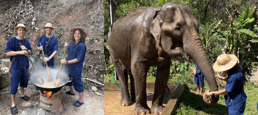 Ethical interaction at an elephant sanctuary in Chiang Mai