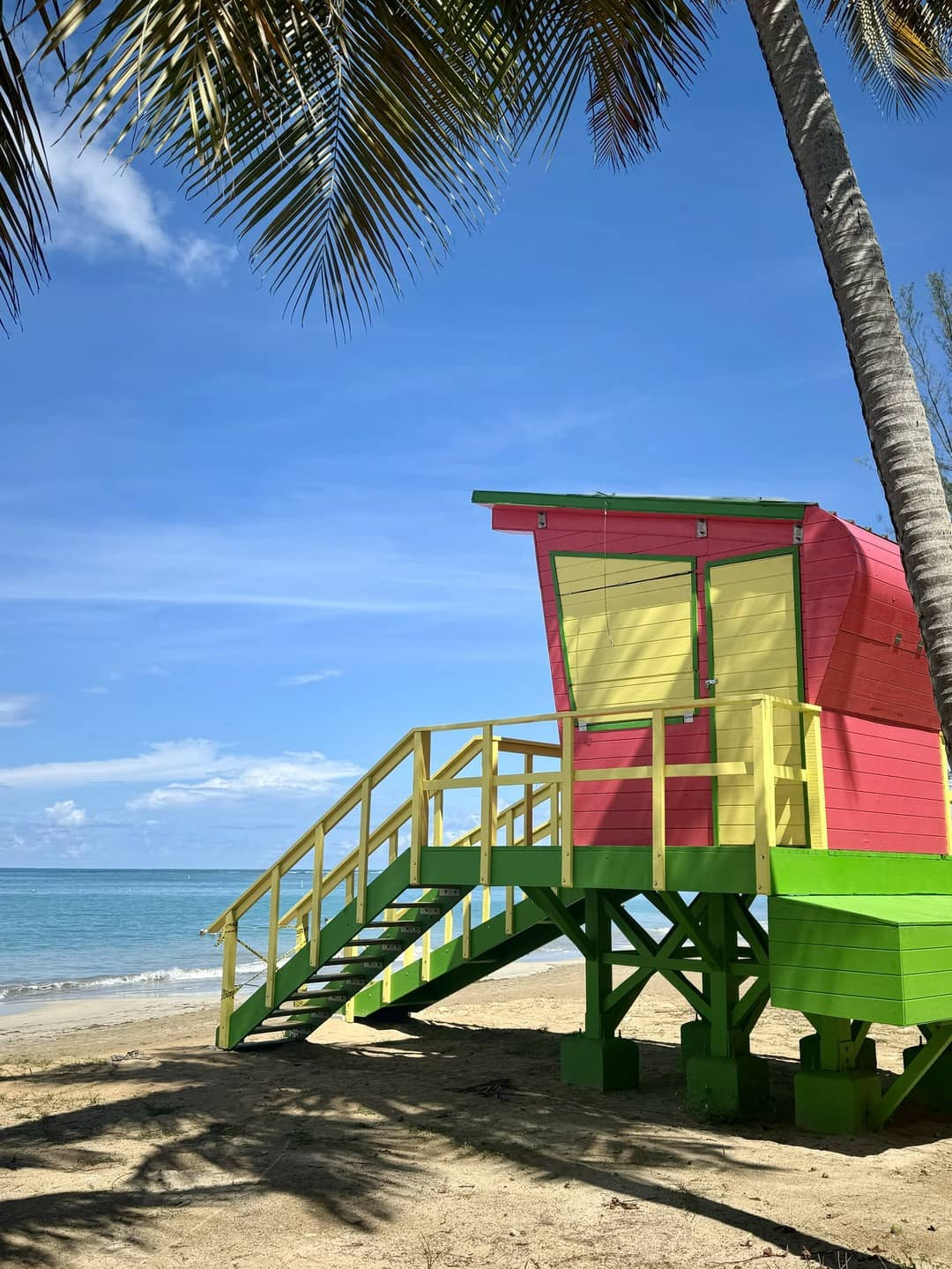 A colorful lifeguard hut on the beach, flanked by palm trees, with the ocean in the background.