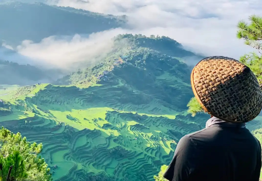 Person overlooking misty terraced green rice fields in mountainous landscape