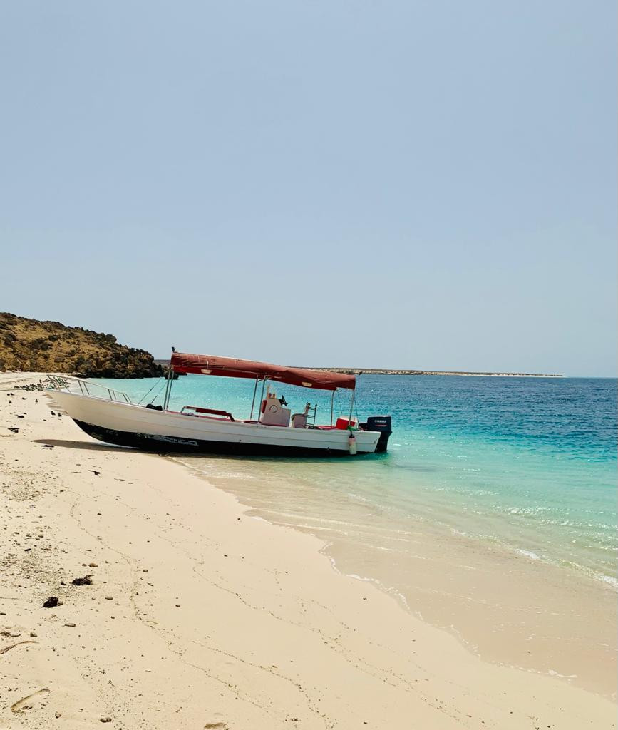 Exploring the unique ecosystem of mangrove forests in Farasan Island