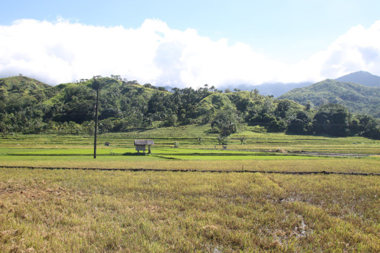 Panay Island, Antique Province. The province of Antique in the central Philippines remains primarily an agricultural and fishing province