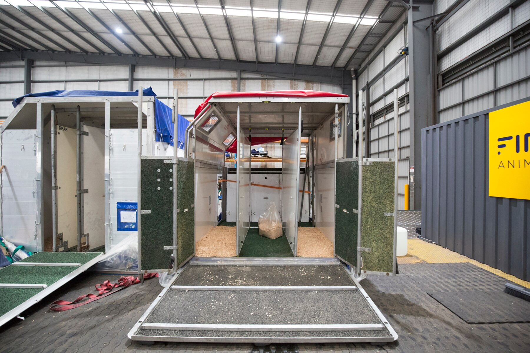 A cargo plane interior showing three brown horses in a metal stable, all chewing hay.