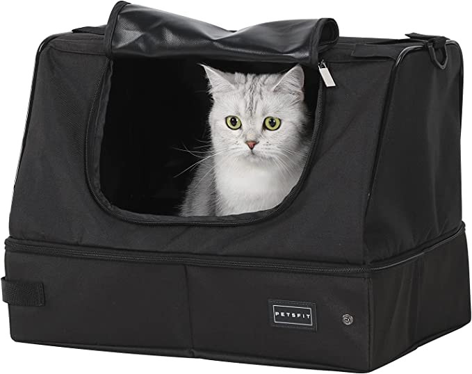 Cat exploring the Petsfit Portable Cat Litter Box