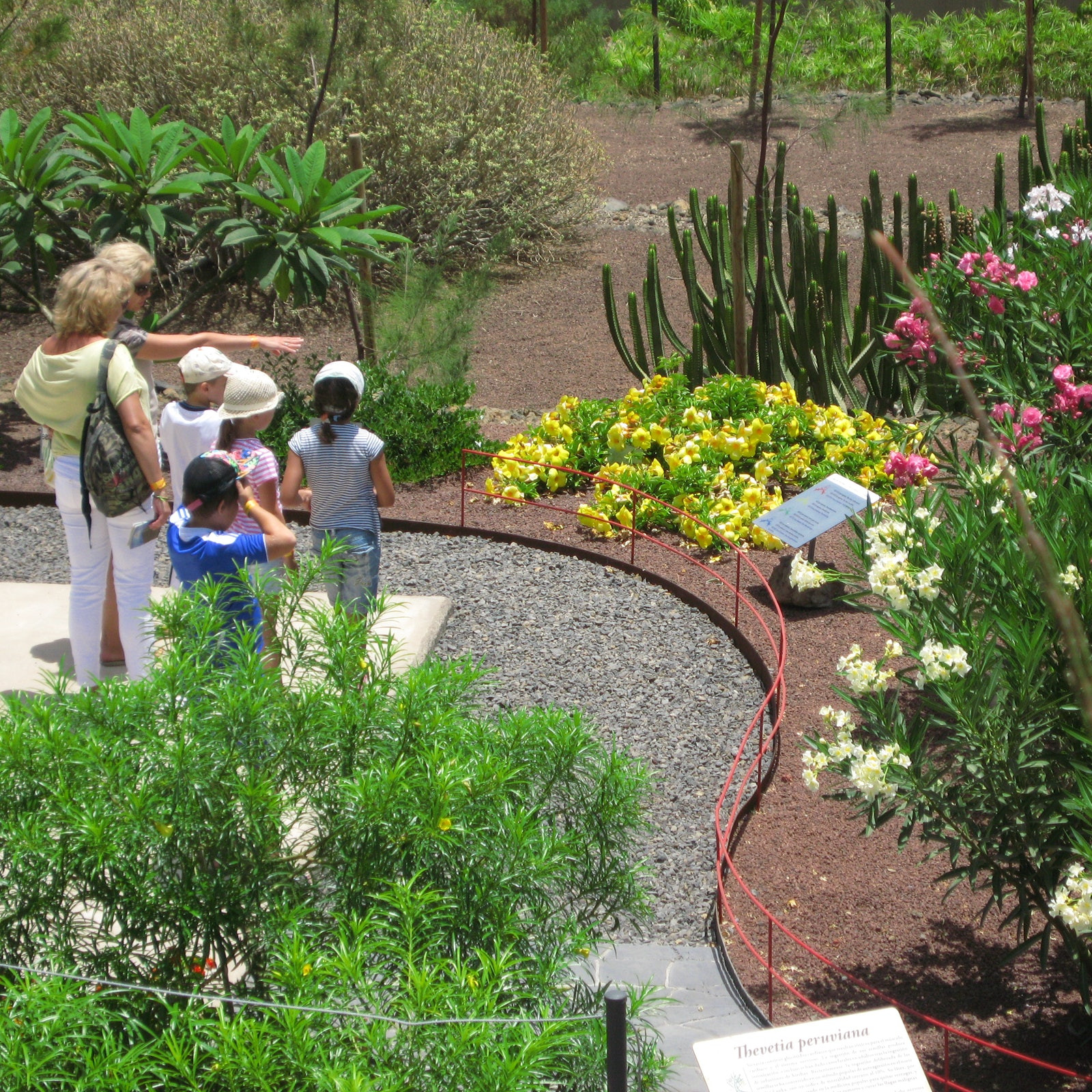 Eco-friendly tourism at Vietnam's botanical gardens promotes conservation and cultural appreciation.