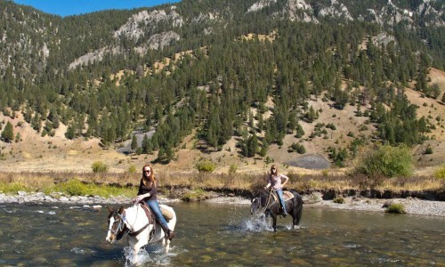 Selection of Jackson Hole travel packages available for different adventure styles