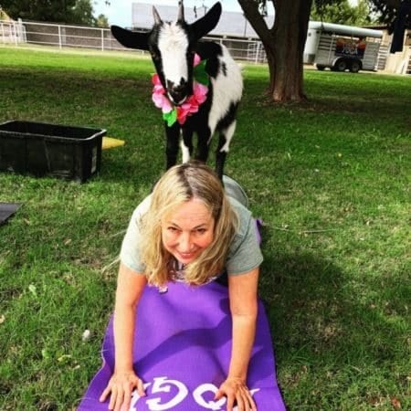 Goat Yoga Experience in Gilbert AZ