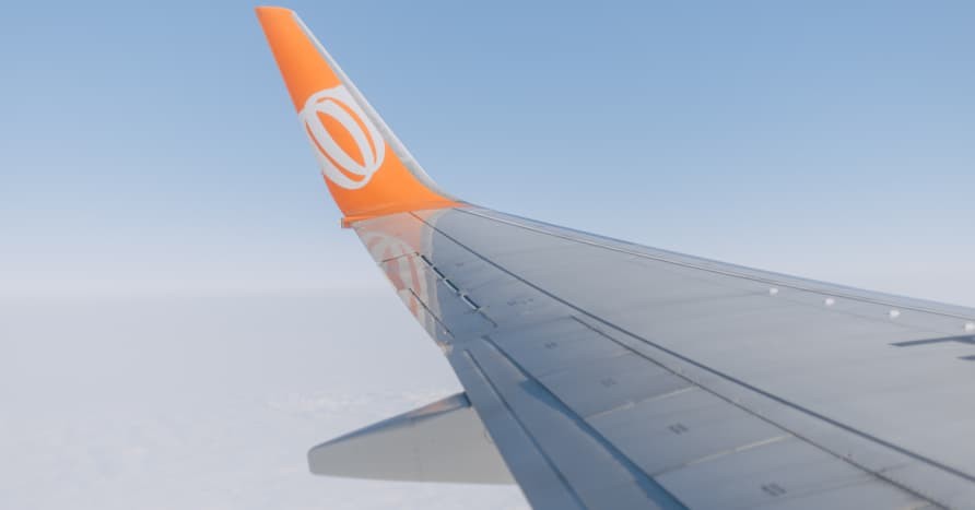 Commercial flight wing view