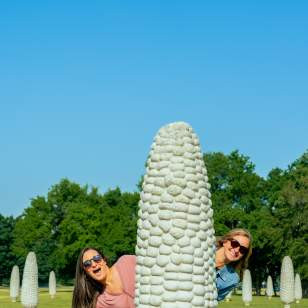 Field of Corn Special Offer