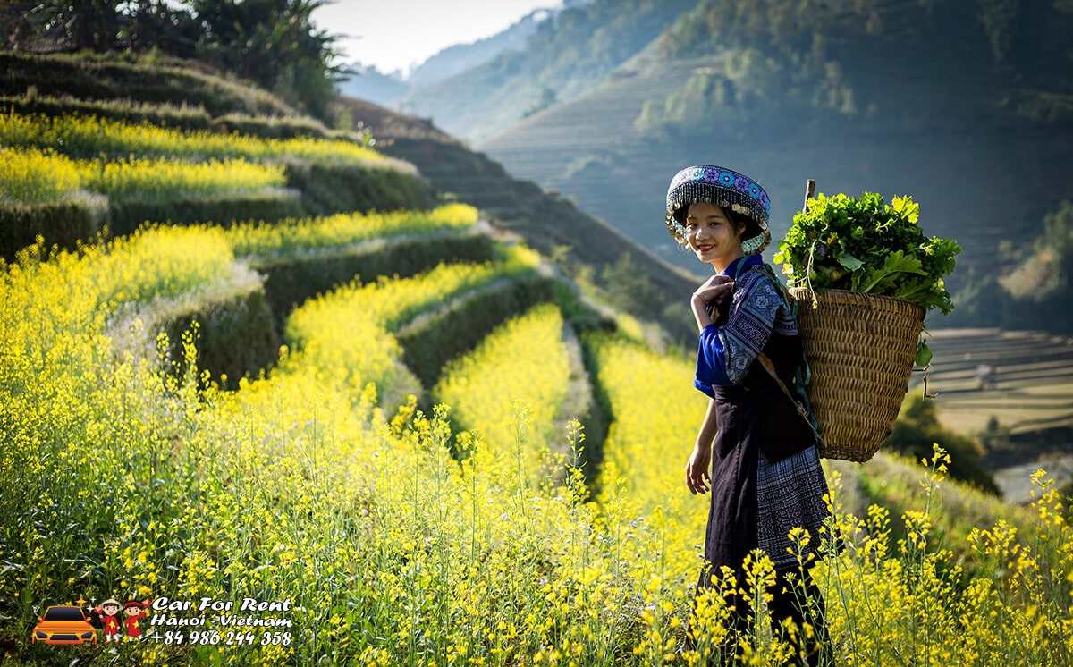 SixtVN Car Rental Travel Vietnam Photo Stock