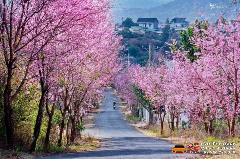 SixtVN Car Rental Travel Vietnam Photo Stock