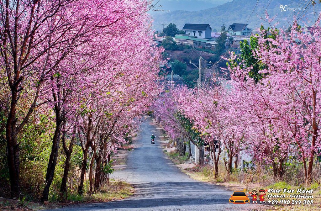 SixtVN Car Rental Travel Vietnam Photo Stock