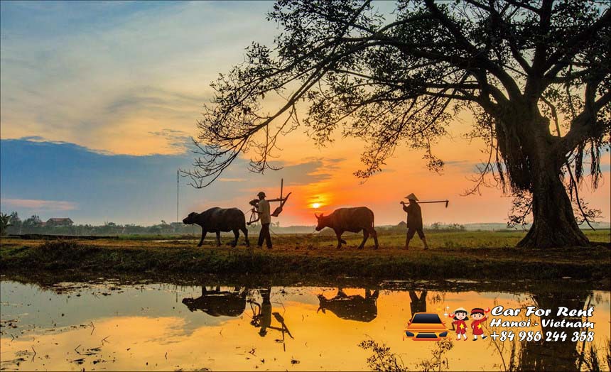 SixtVN Car Rental Travel Vietnam Photo Stock