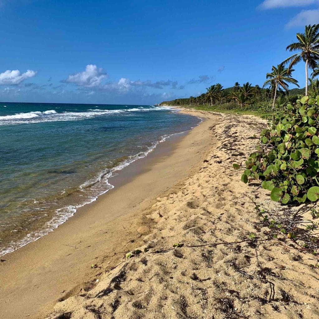 A strip of beach in Vieques