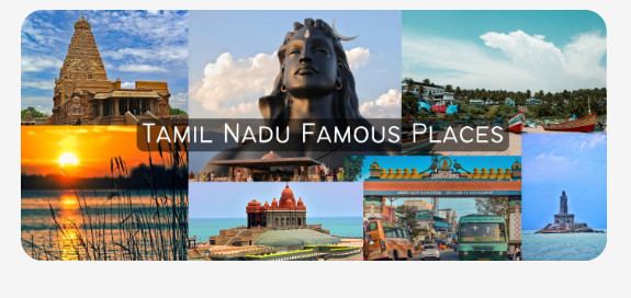 Explore Tamil Nadu's lush tea plantations
