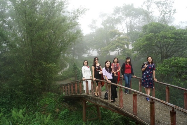 Tam Dao - a small town in the clouds featuring a misty, ethereal beauty and lush green gardens