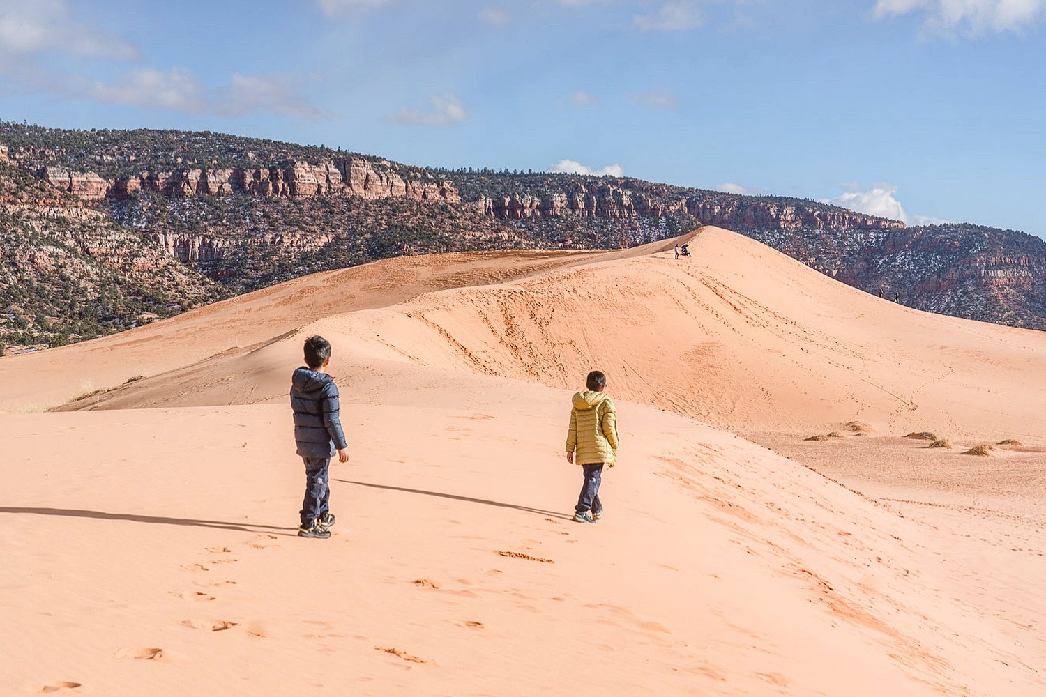 Boys enjoying sledding at Coral Pink Sand Dunes State Park during a windy and freezing Spring Break visit in 2021
