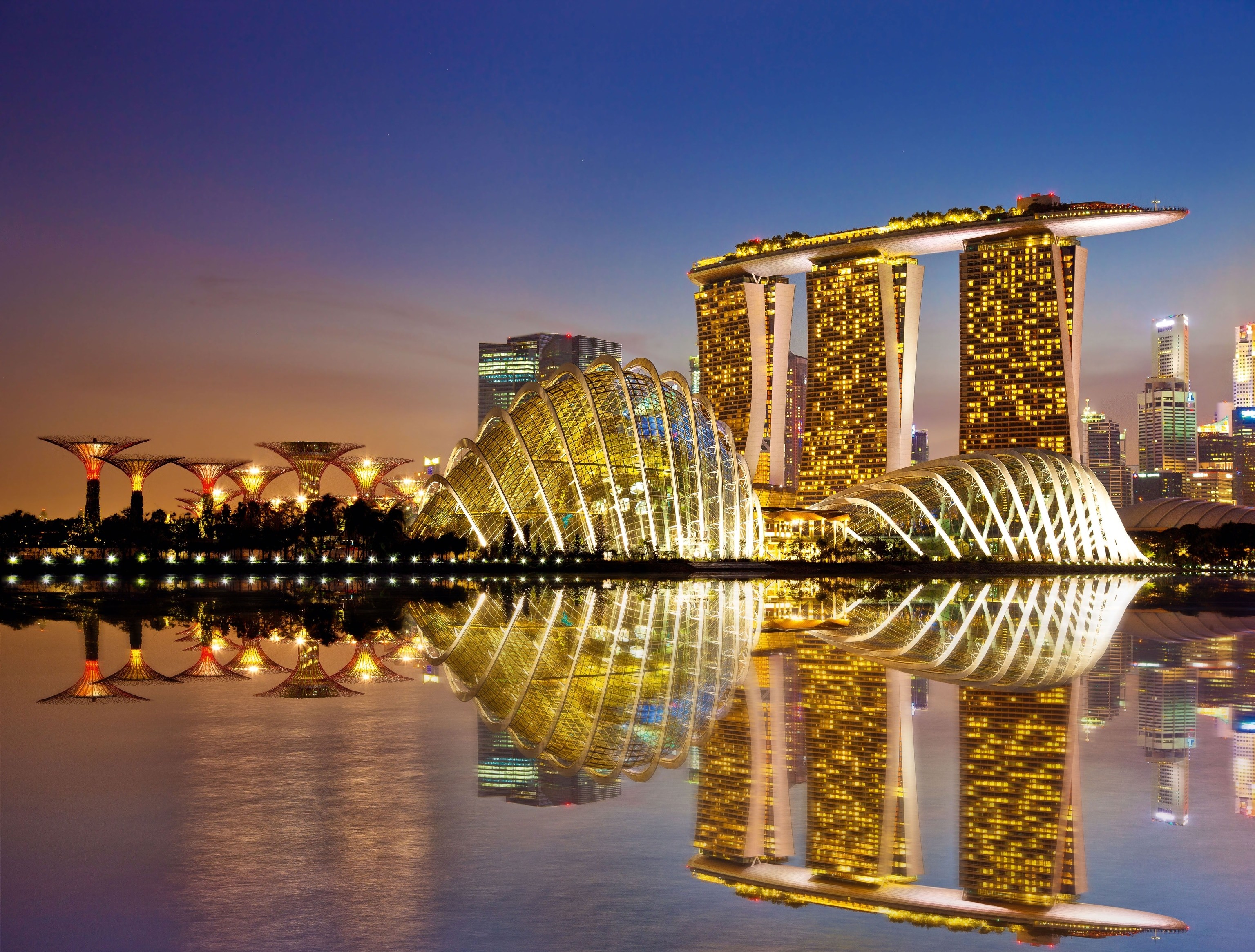 Singapore's Supertree Grove at Gardens by the Bay futuristic attraction