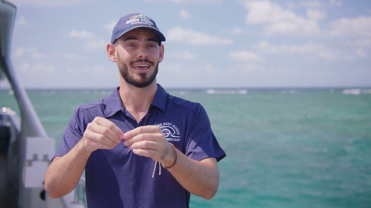 Great Barrier Reef