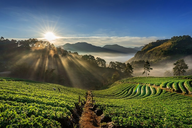 social media play in globalization and tourism