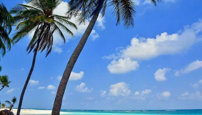 Agatti Island features a picturesque coastline, attracting visitors with its pristine beaches and status as a key entry point to Lakshadweep.