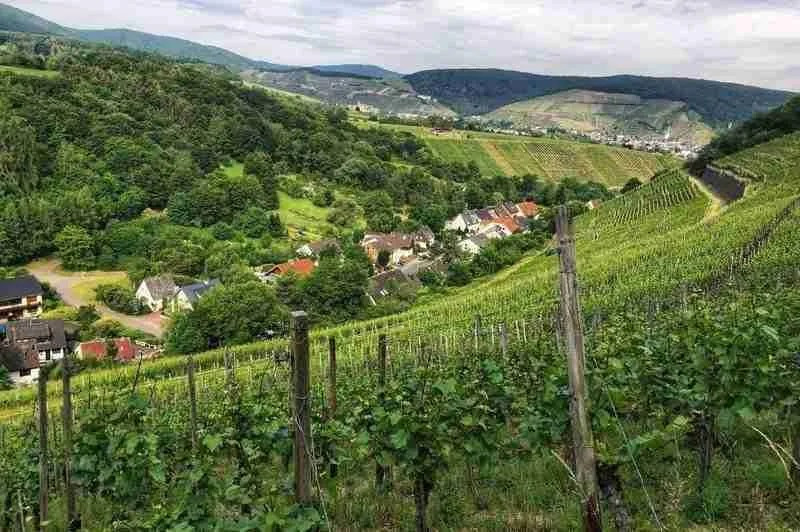 View of Ahrtal from the AhrSteig