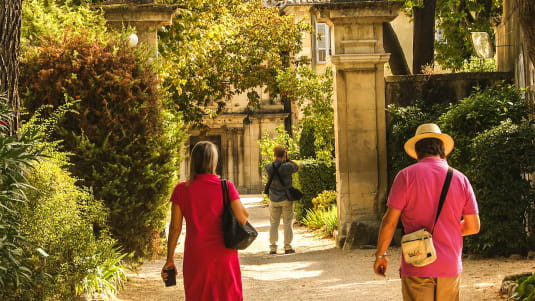 allee-monastere-saint-paul-de-mausole-hopital-van-gogh