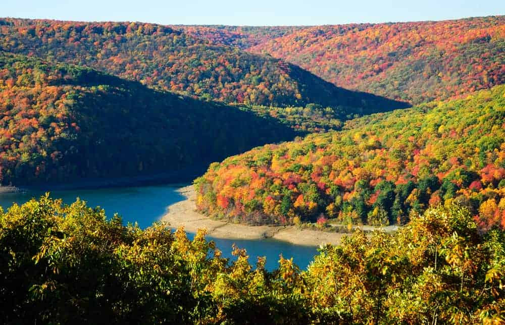 Allegheny National Forest during autumn