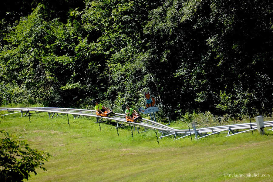 Two people sitting on orange coasters ride on a metal track down a green hillside in Oberammergau, Germany. There is a sign to advertise this alpine coaster.