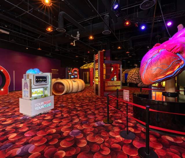 Amaze Body Space exhibit at The Health Museum, Alt Text The Health Museum Interactive Exhibits