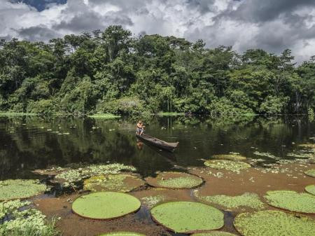 Nature in the Amazon offers incredible opportunities to experience wildlife