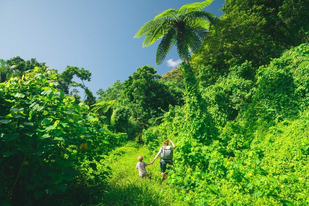 Picturesque coastlines and crystal-clear waters of Ofu Island